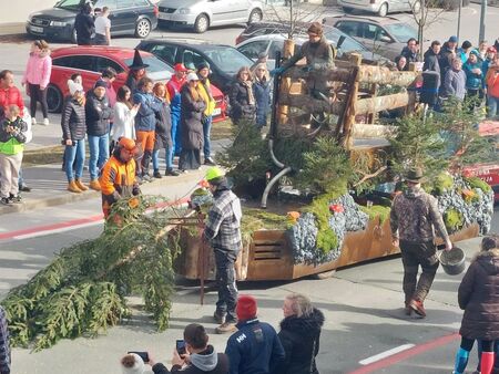 Gozd na beumi kamni (2)